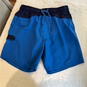 Speedo Men's Two-Tone Blue Board Shorts